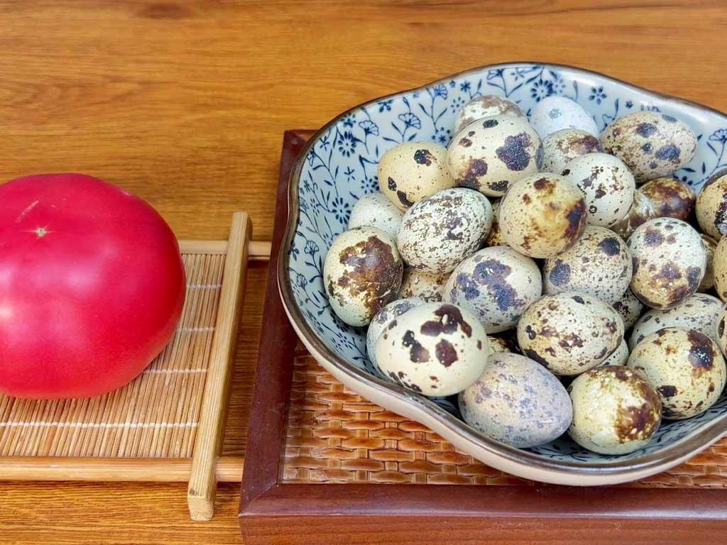 gnuyen-lieu-lam-mon-trung-cut-sot-ca-chua
