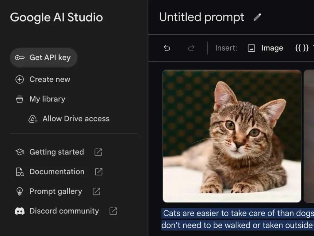 google-AI-studio-la-gi
