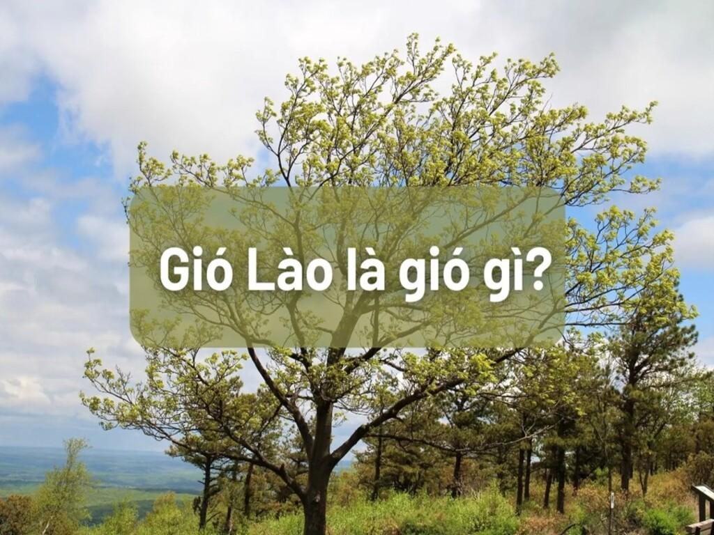 Gió Lào là gì? Tìm hiểu gió khô nóng đặc trưng miền Trung