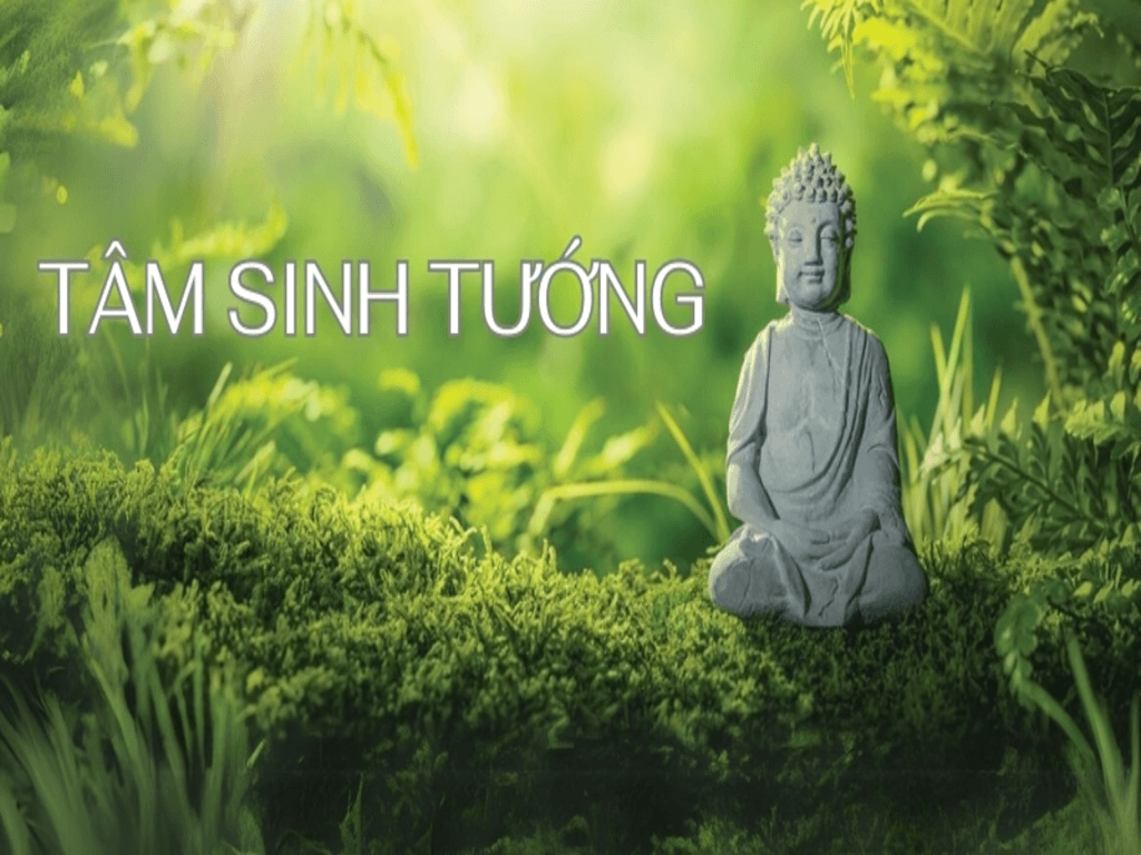 Tâm sinh tướng là gì? Có thể đổi tướng bằng hành thiện?