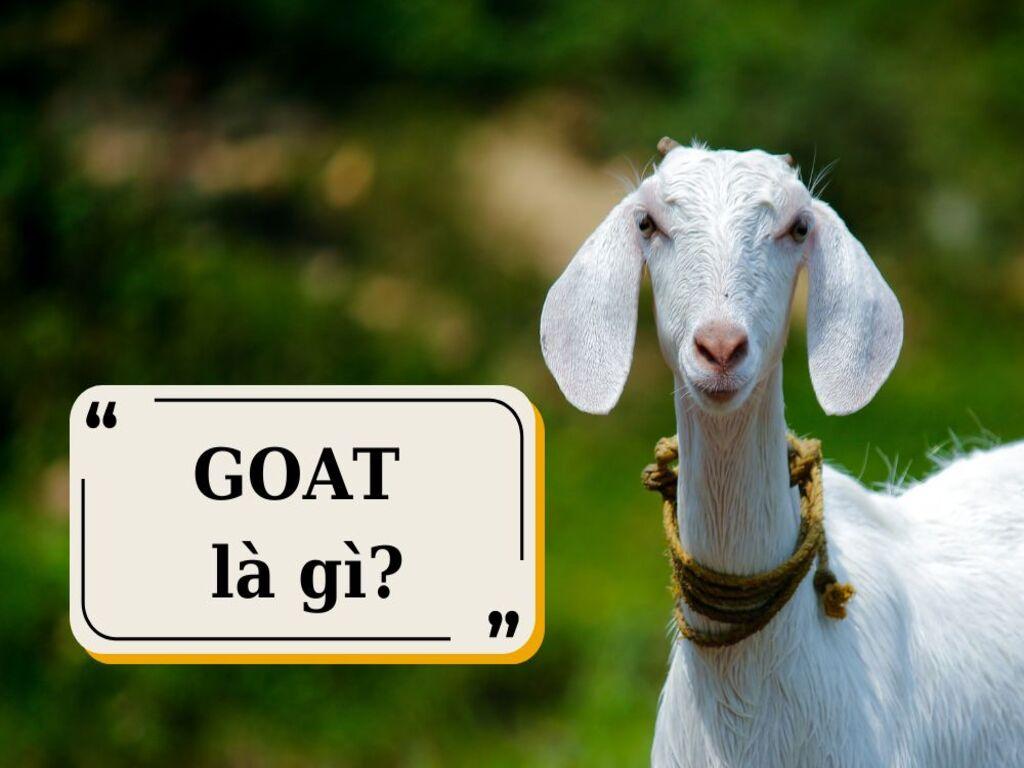 GOAT là gì? Vì sao từ này được dùng phổ biến trên mạng?