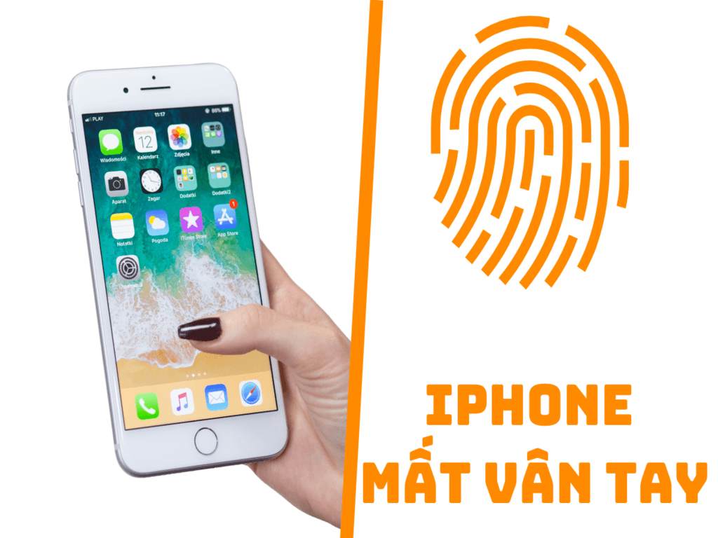 iPhone mất vân tay do đâu? Cách khắc phục đơn giản tại nhà