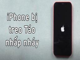 iphone bị treo táo