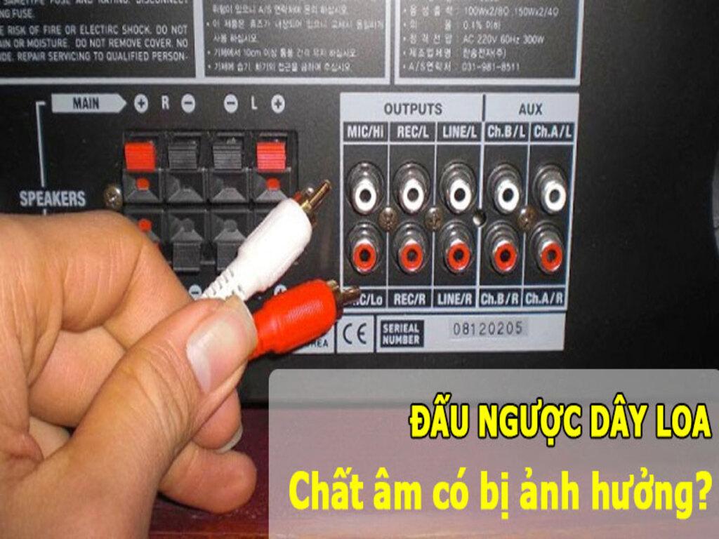 Đấu ngược dây loa gây ra hiện tượng gì? Mẹo nối lại chuẩn kỹ thuật âm