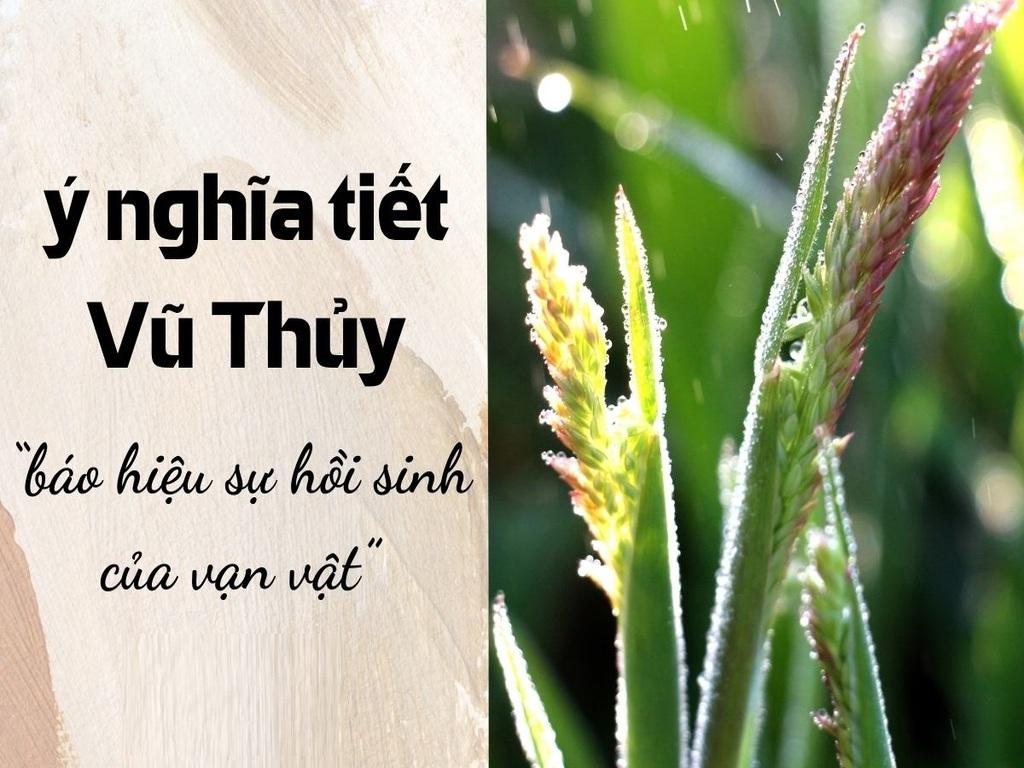 Ý nghĩa của tiết Vũ Thủy lý giải vì sao được coi là "mạch nguồn sự sống"