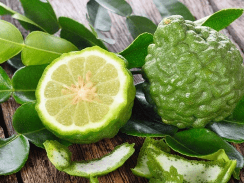 Công dụng của lá chúc khiến giới ẩm thực “mê mẩn” còn giới Đông y lại gật gù
