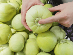 cách chọn dưa lê ngon