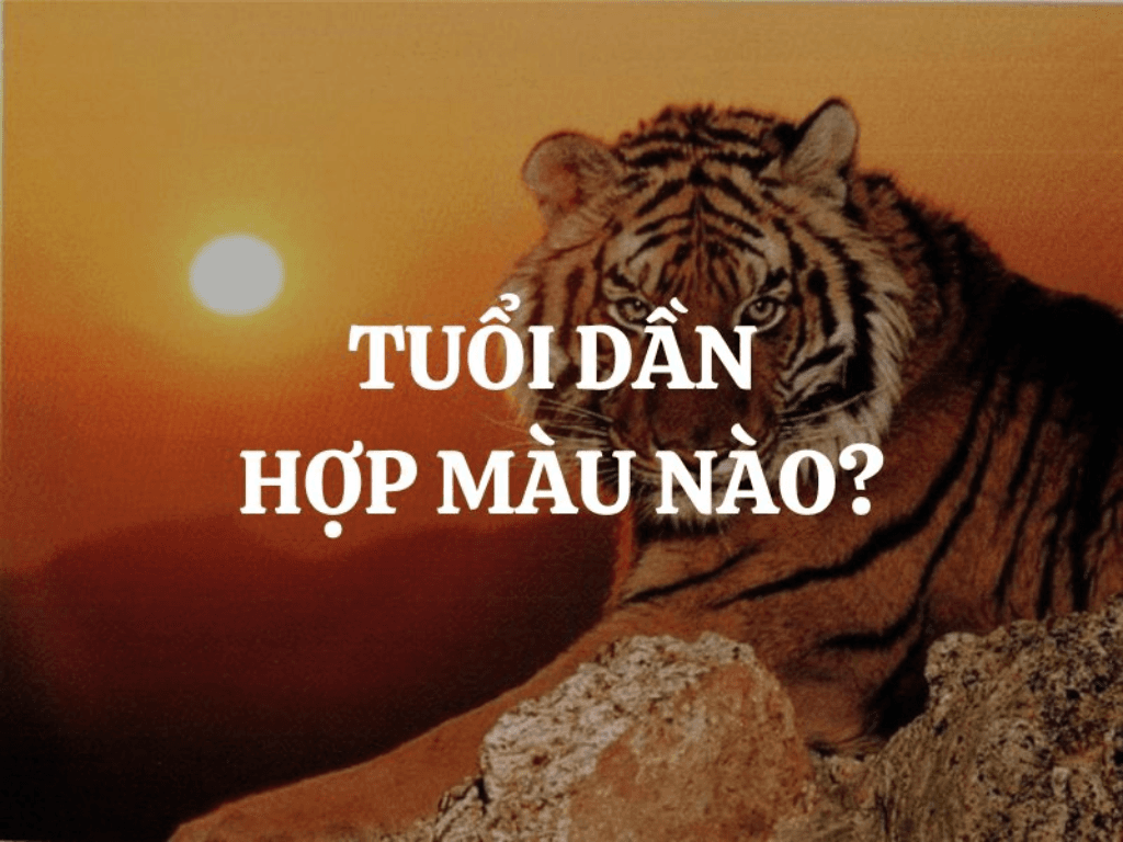 Tuổi Dần hợp màu gì? Chọn ga gối đúng màu ngủ ngon và “rước lộc” vào nhà