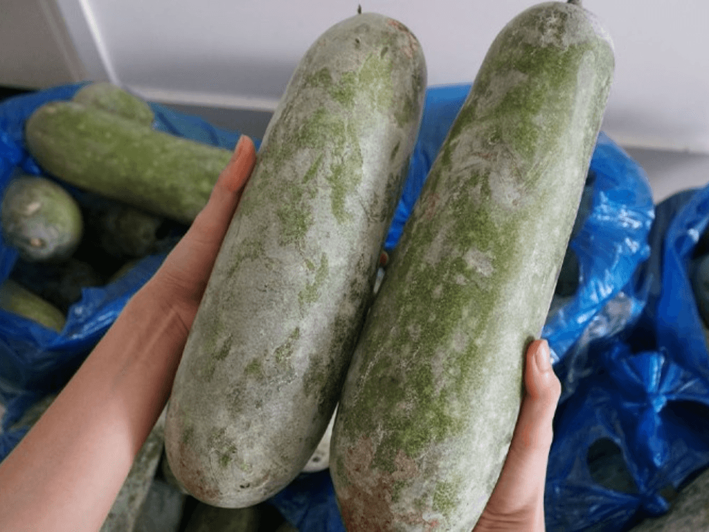 Cách chọn bí đao già đơn giản nhưng “đắt giá” giúp món ăn giữ nguyên vị ngon