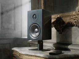 loa có tiếng xèo xèo