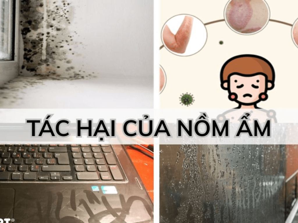 Lau nhà bằng nước nóng có hết nồm không? Câu trả lời gây “choáng váng”