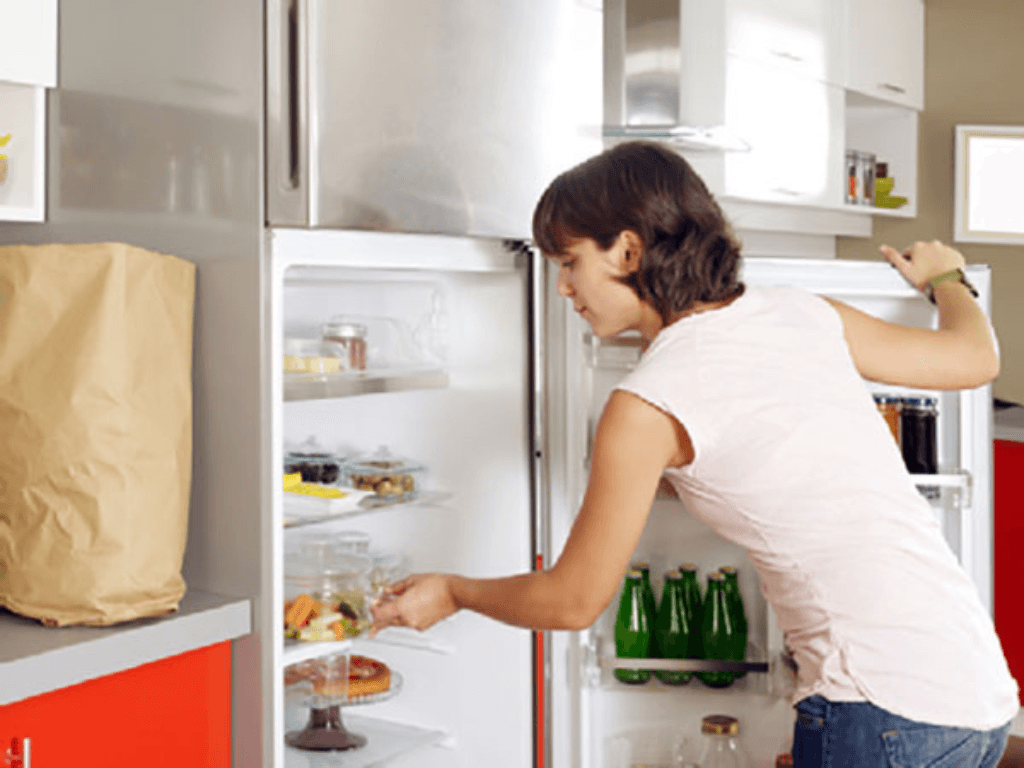 Hướng dẫn sử dụng tủ lạnh Hitachi cho người mới