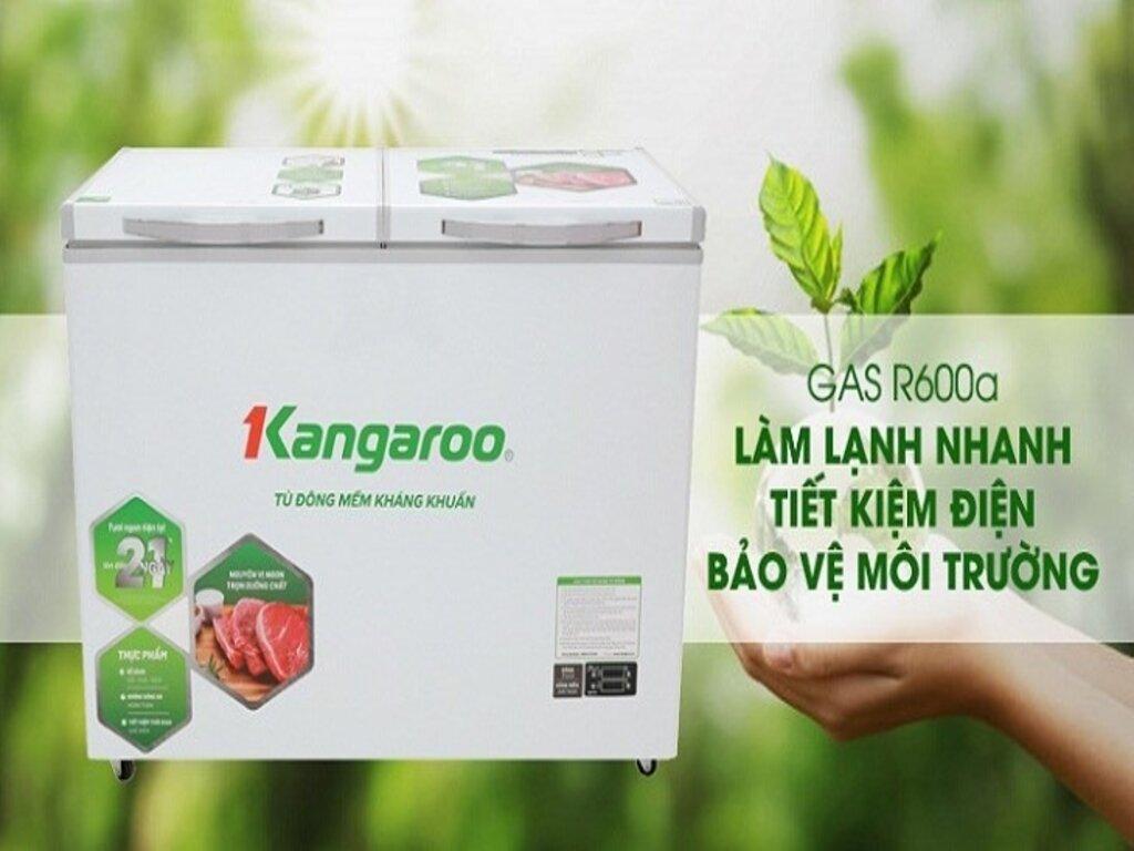 Tủ Đông Kangaroo