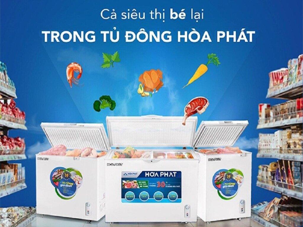 Tủ đông Hòa Phát 400l