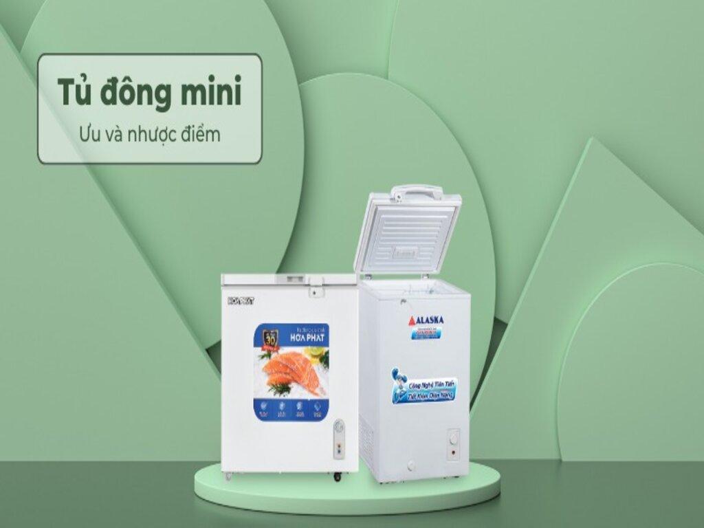 Tận hưởng Tiện Ích Gia Đình với Tủ Đông Mini: Nhỏ Gọn, Hiệu Quả