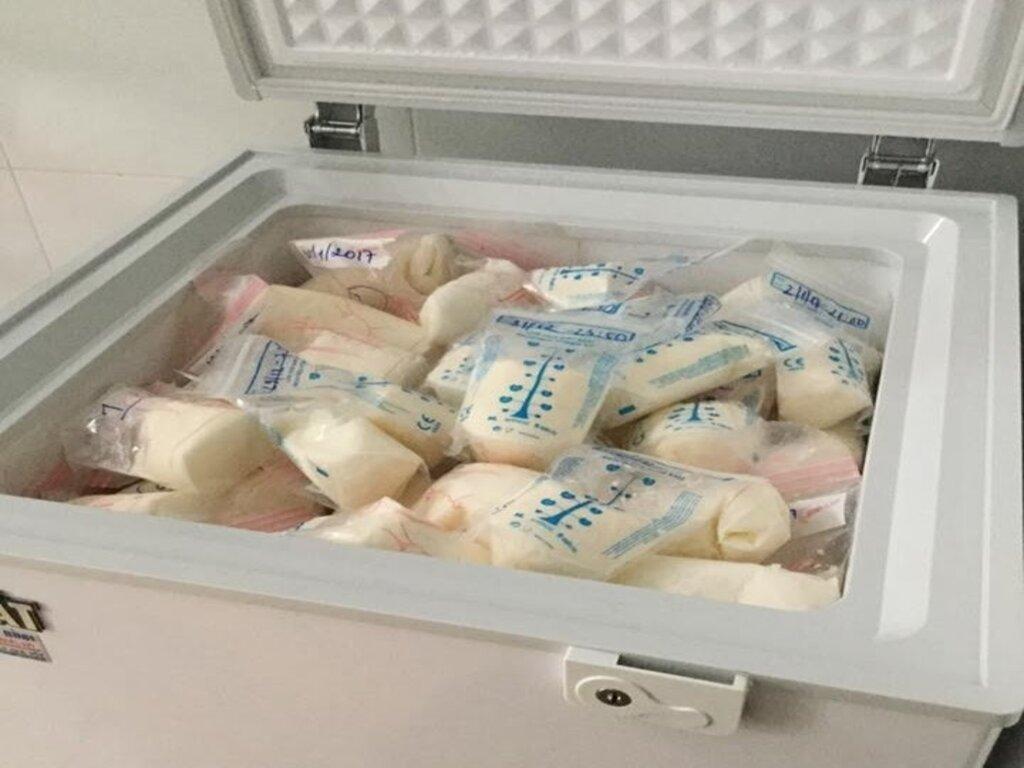 Tủ Đông Mini Trữ Sữa 