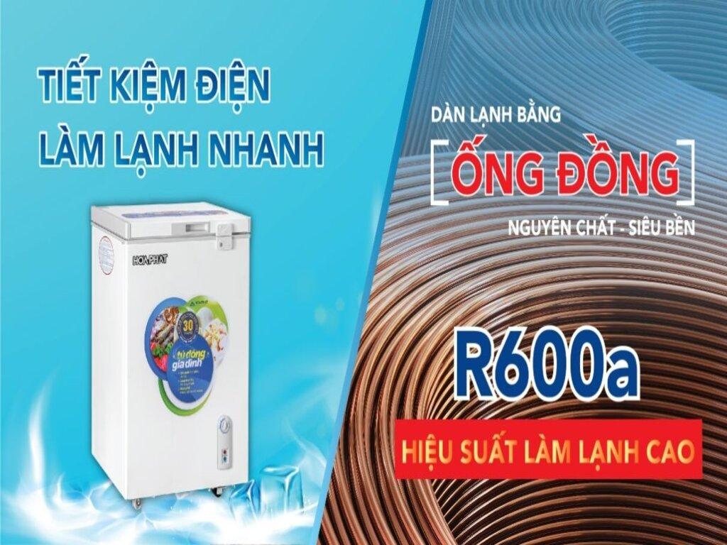 So Sánh Tủ Đông Mini Hòa Phát 100L và Tủ Đông Sanaky 100L: Lựa Chọn Nào Phù Hợp Nhất?