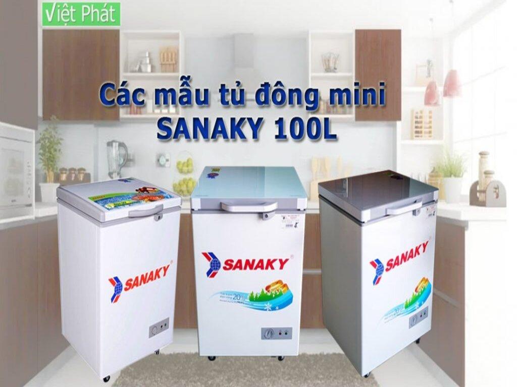 So Sánh Tủ Đông Mini Hòa Phát 100L và Tủ Đông Sanaky 100L: Lựa Chọn Nào Phù Hợp Nhất?