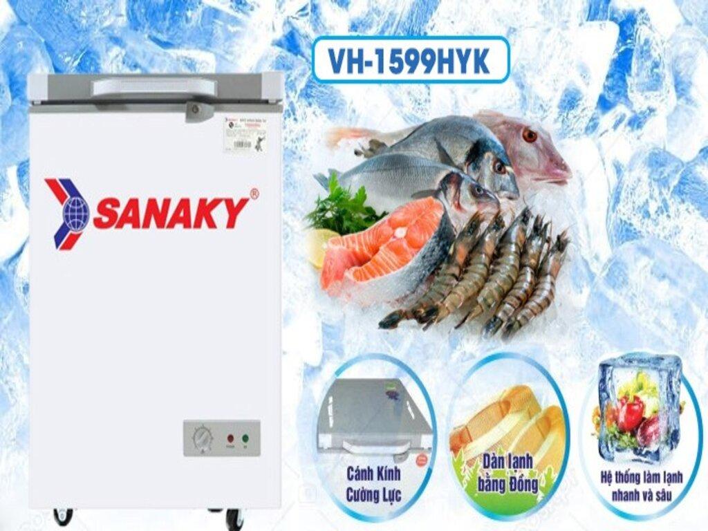 Tủ Đông Sanaky VH 1599HYK