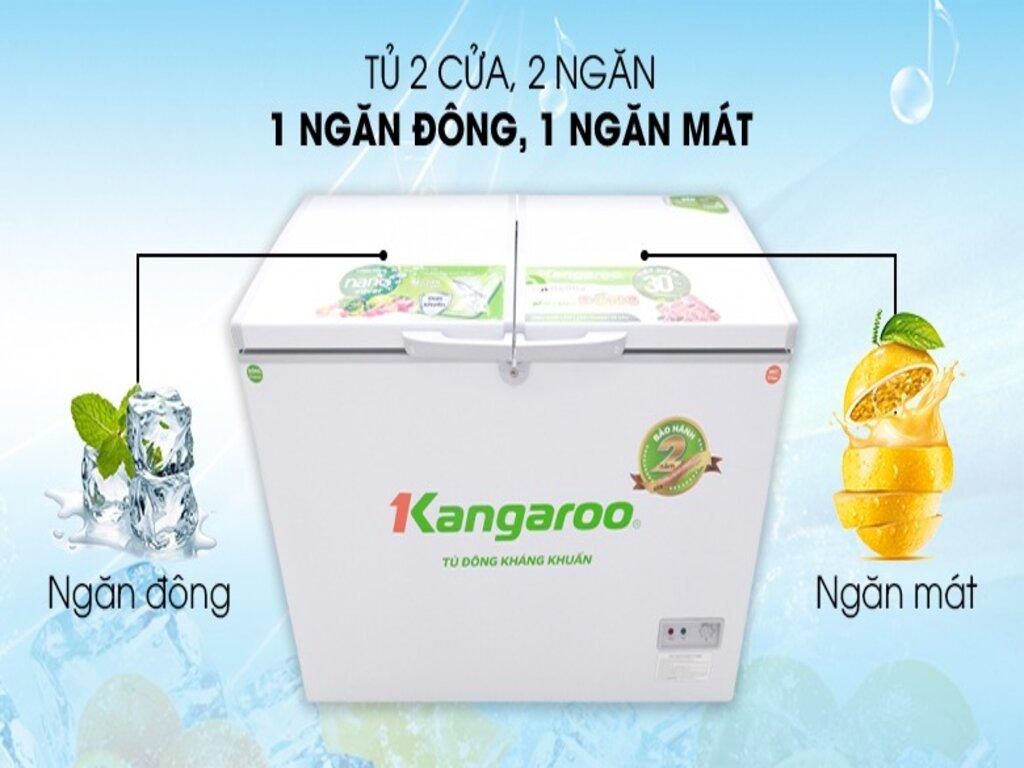 Tủ đông Kangaroo có tốt không ? Đánh giá tổng quan