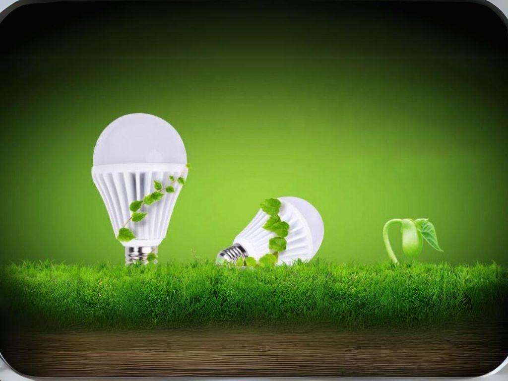 Bóng đèn LED