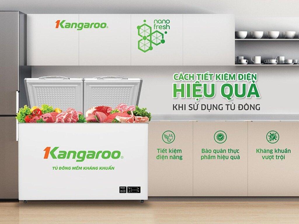So sánh giá tủ đông 20 thương hiệu nổi tiếng có mặt trên thị trường Việt Nam