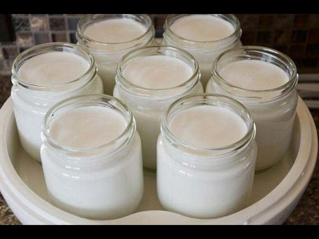 ủ sữa chua bằng lò nướng