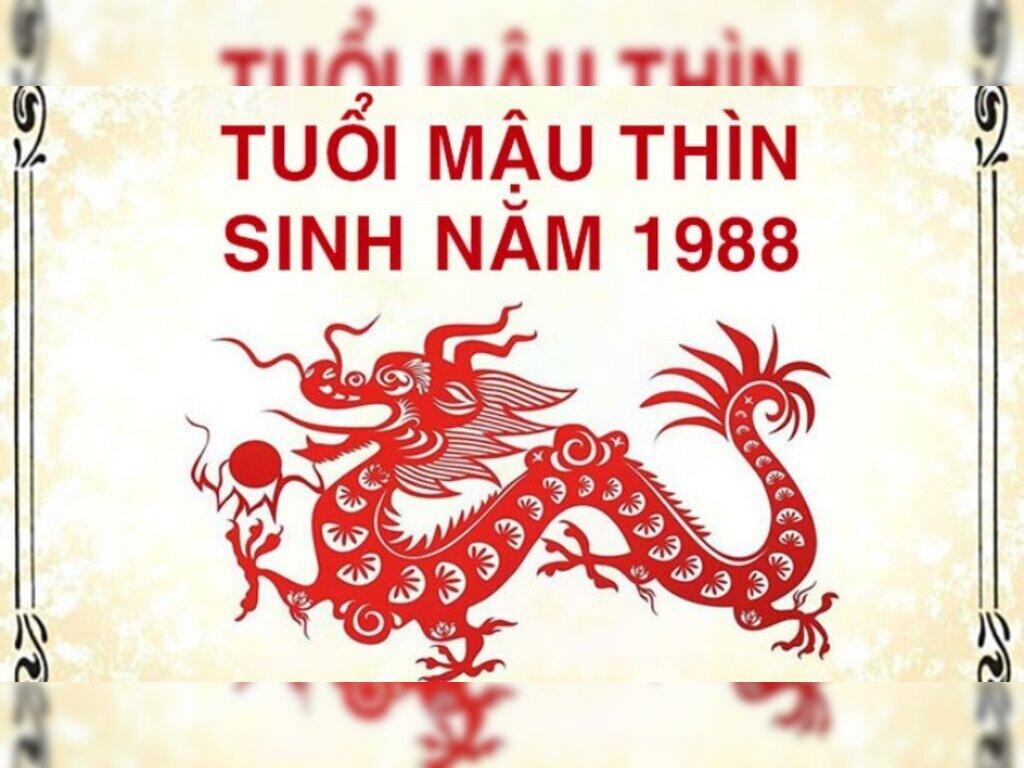 Cây phong thủy tuổi Thìn 1988