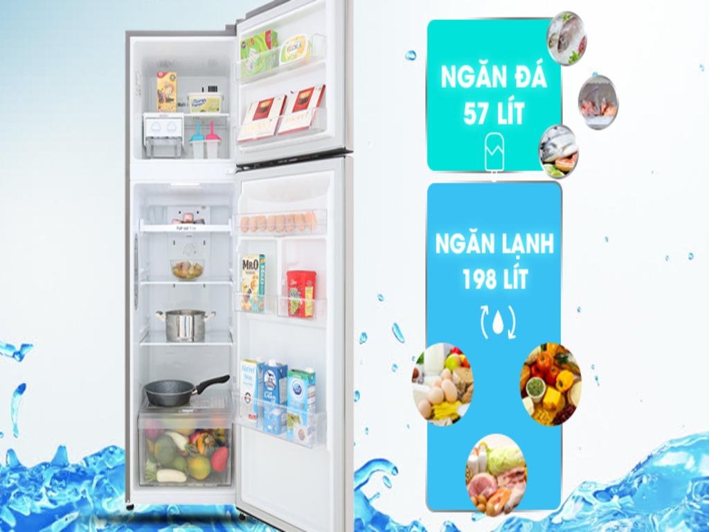 Tủ lạnh lg 255 lít có ưu điểm gì? Phù hợp gia đình mấy người?