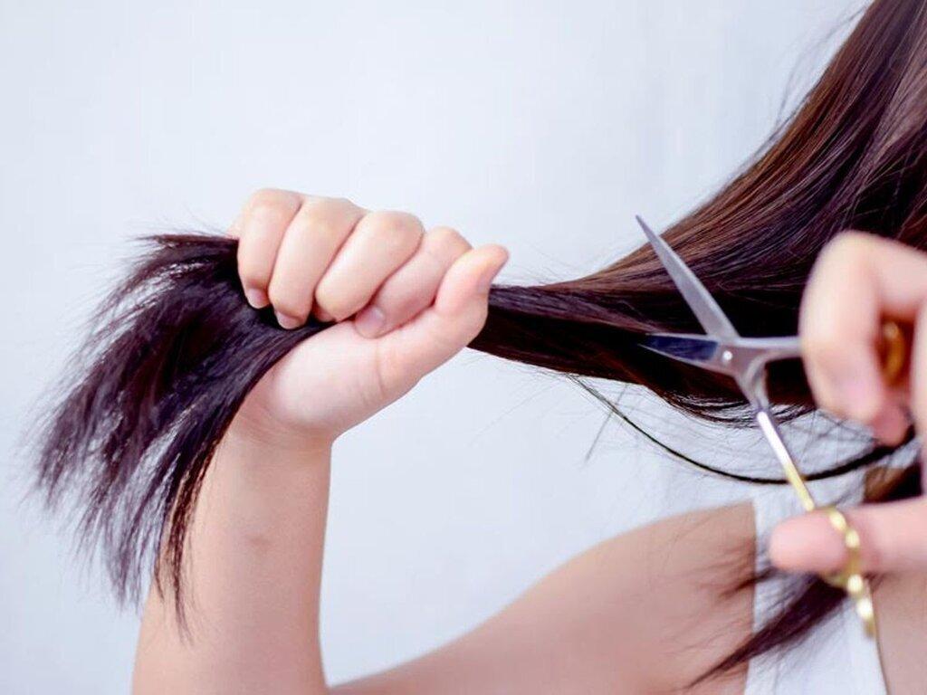 Cắt Tóc Thay Đổi Vận Mệnh: Bí Quyết Thu Hút May Mắn và Thành Công