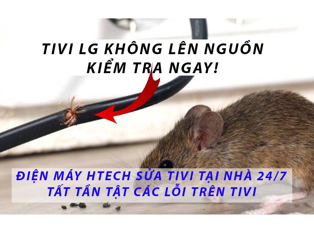 Tivi LG không lên nguồn lỗi do đâu? Bắt bệnh sửa tivi LG 100% không tái phát