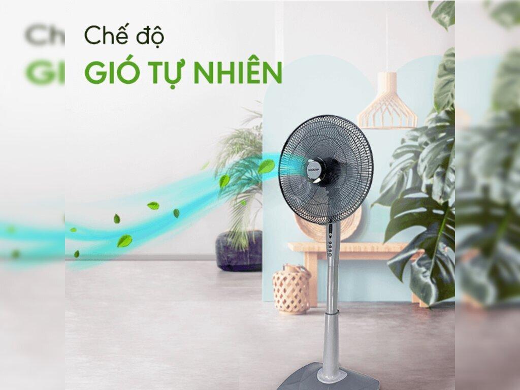 Review chi tiết quạt Sharp: Ưu nhược điểm, nên mua hay không?