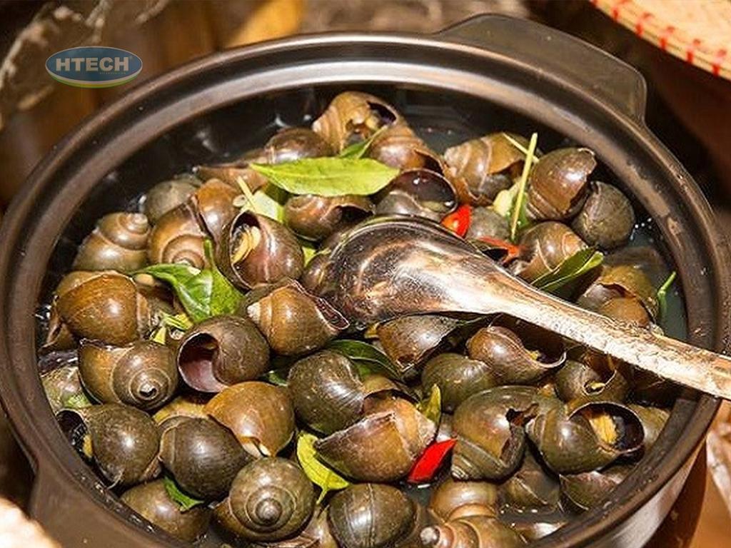 cach-nau-bun-oc-ha-noi
