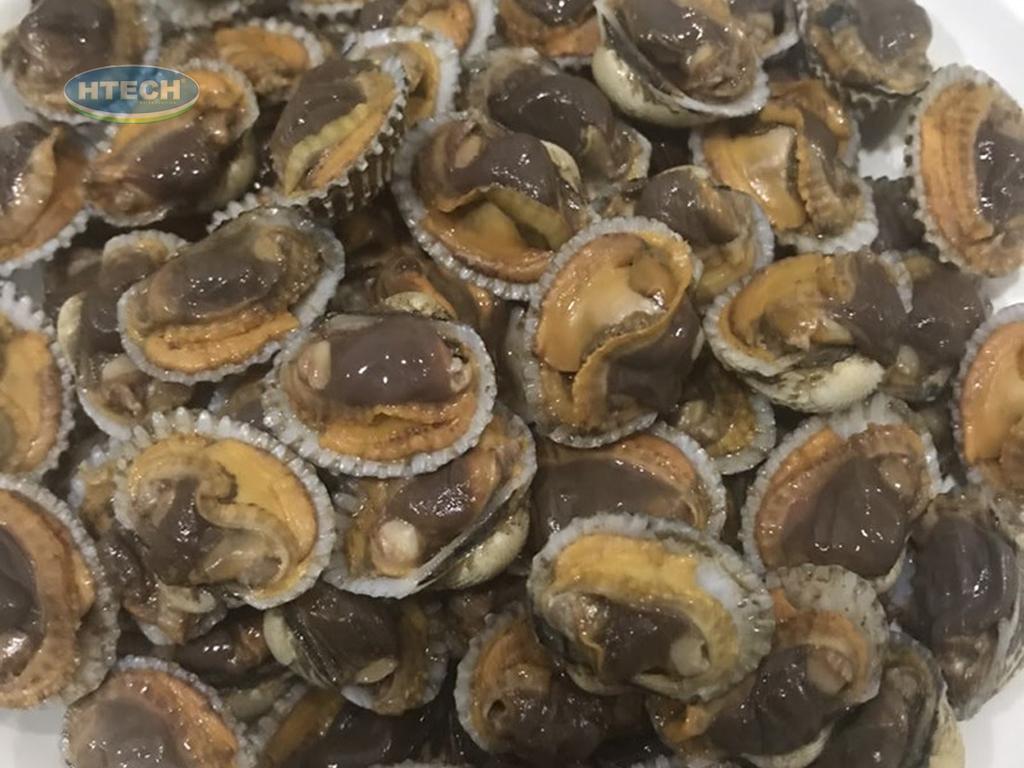 cach-luoc-so-huyet-vua-toi