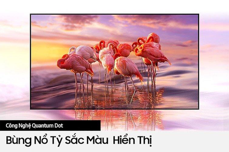 QLED Tivi 4K Samsung 65Q65T 65 inch Smart TV-5