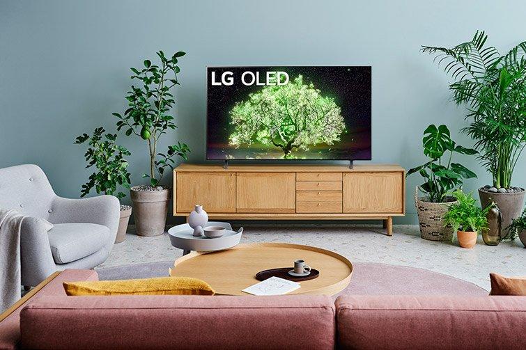 OLED Tivi 4K LG 55 inch 55A1PTA ThinQ AI-6