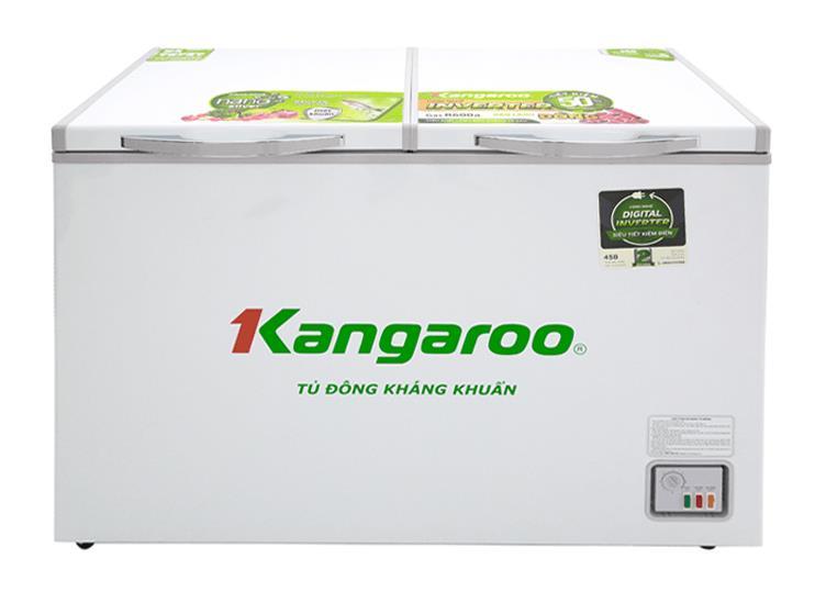 Tủ Đông Kangaroo 286L KG399NC1