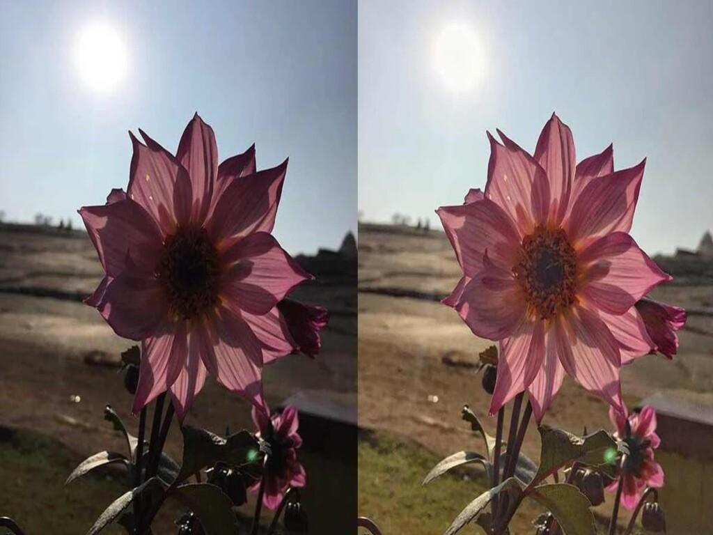 Cách chỉnh ảnh ngược sáng trên iPhone