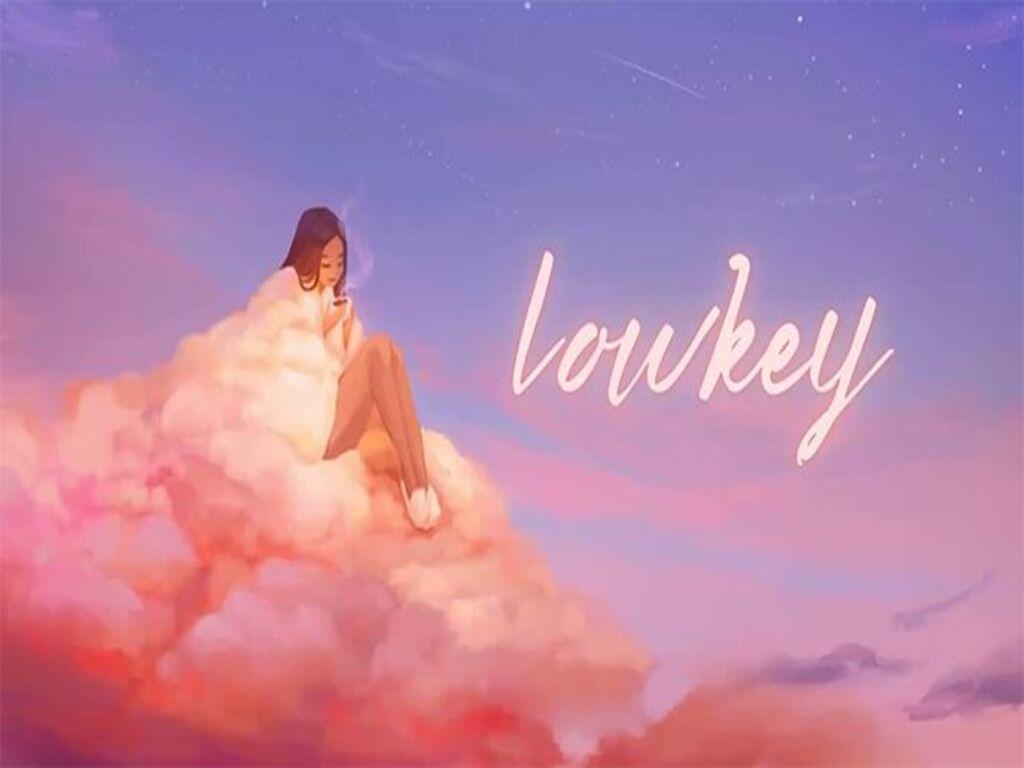 Lowkey nói lên điều gì về tính cách người sử dụng?