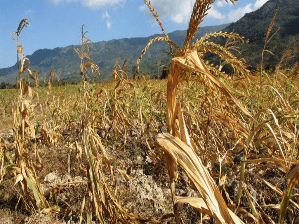 Thời điểm và tần suất xuất hiện gió Lào trong năm