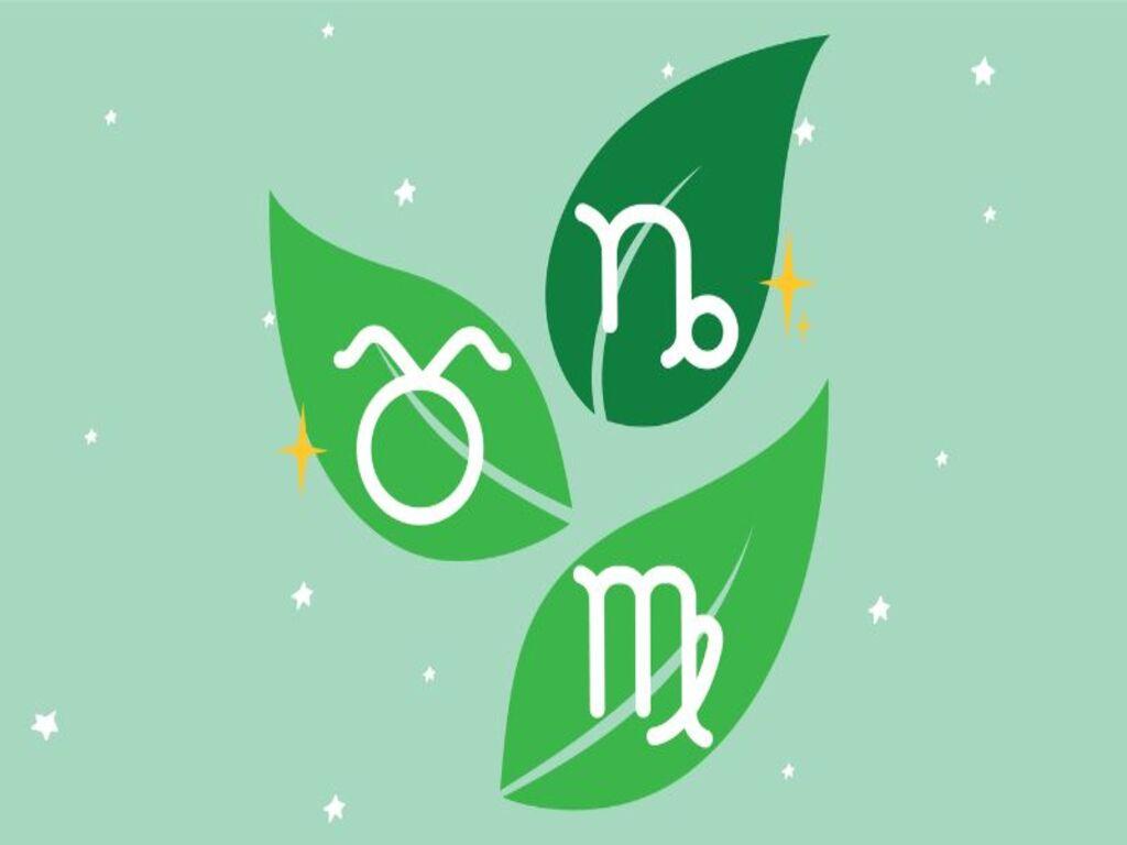 Tình yêu của người thuộc cung Đất