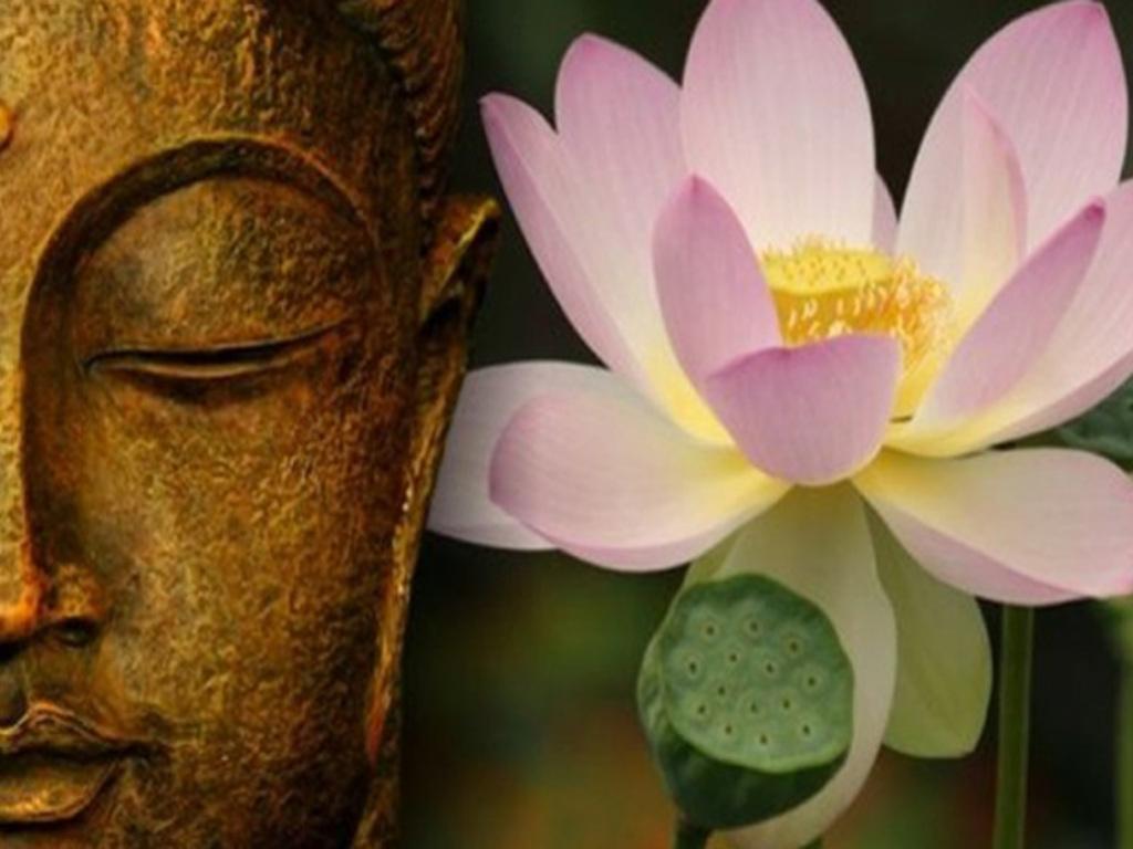 Tướng mạo có thể cải thiện được không? Câu trả lời là CÓ