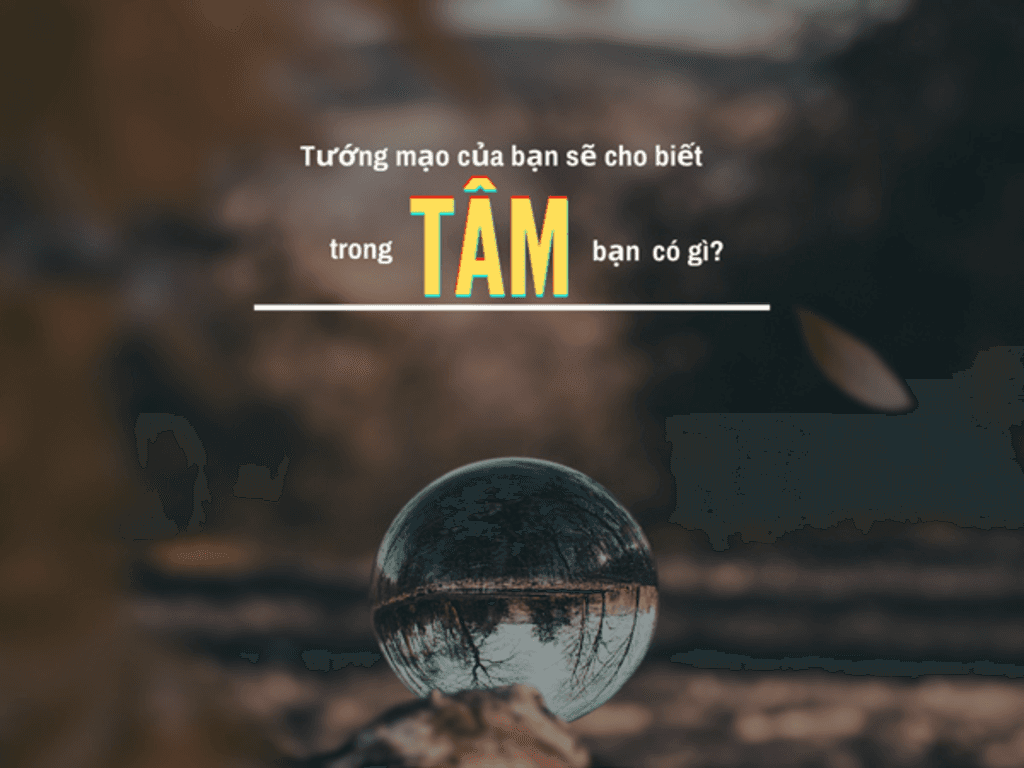 Tướng mạo phản ánh điều gì về con người?