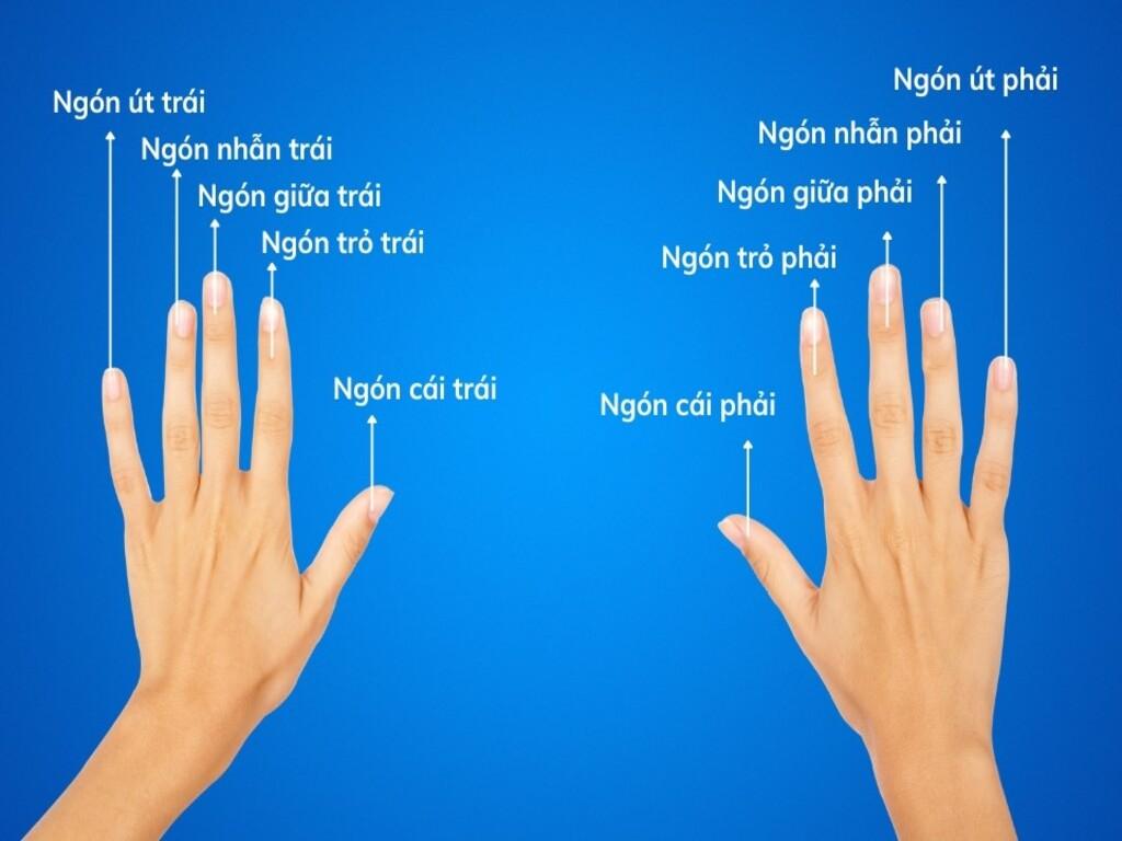 Ý nghĩa đeo nhẫn theo giới tính – nữ giới nên biết