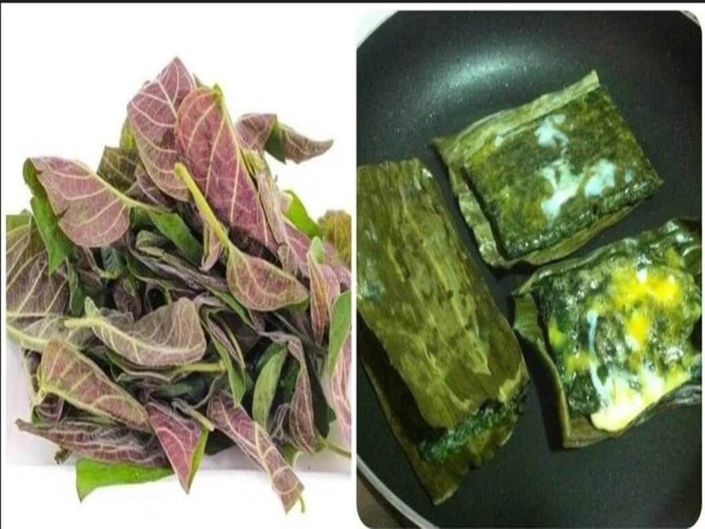 Cách sử dụng lá mơ lông hiệu quả, an toàn tại nhà