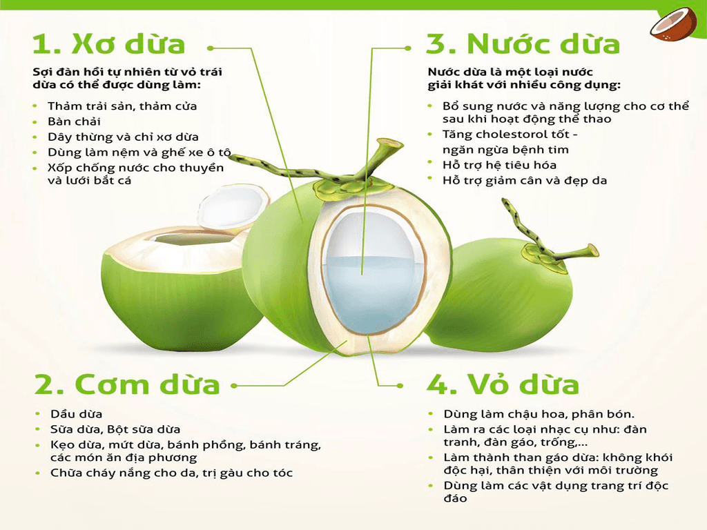 Cách sử dụng nước dừa đúng cách và ngon miệng hơn