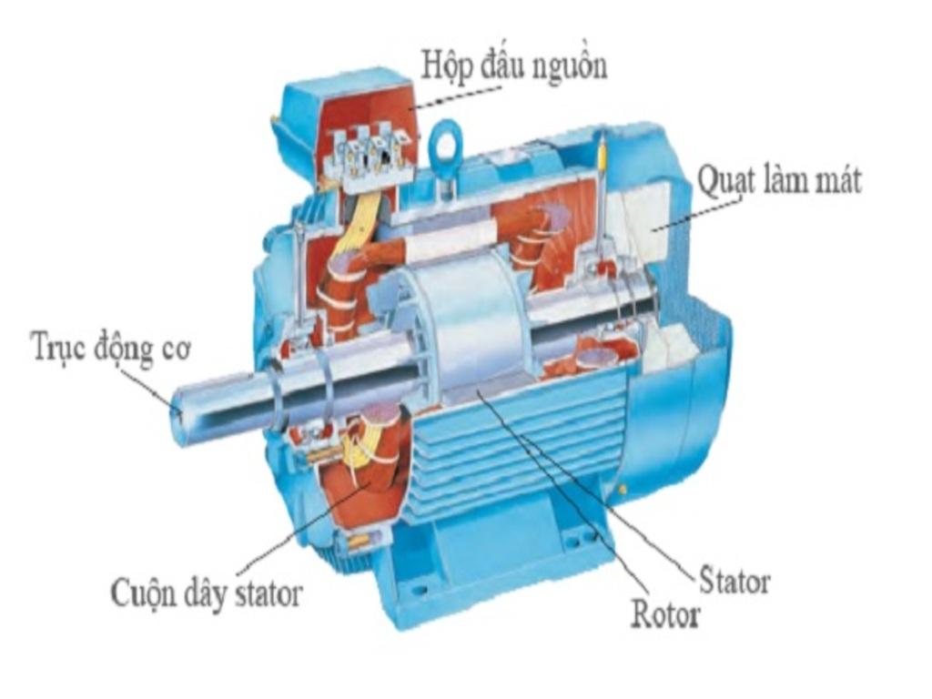 Cấu tạo cơ bản của motor
