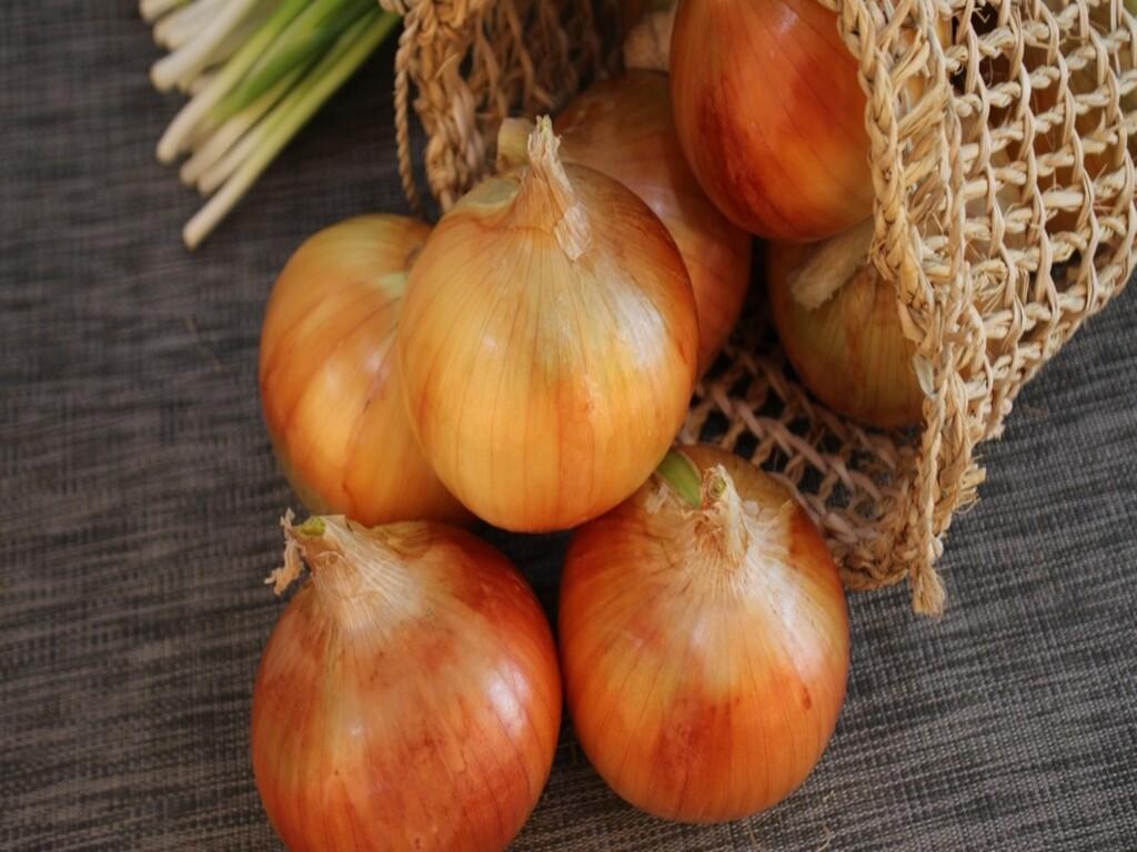Công dụng của hành tây đối với hệ miễn dịch và tim mạch