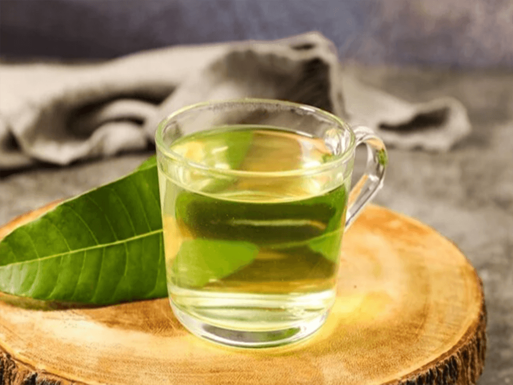 Công dụng của lá xoài mà ít người biết đến
