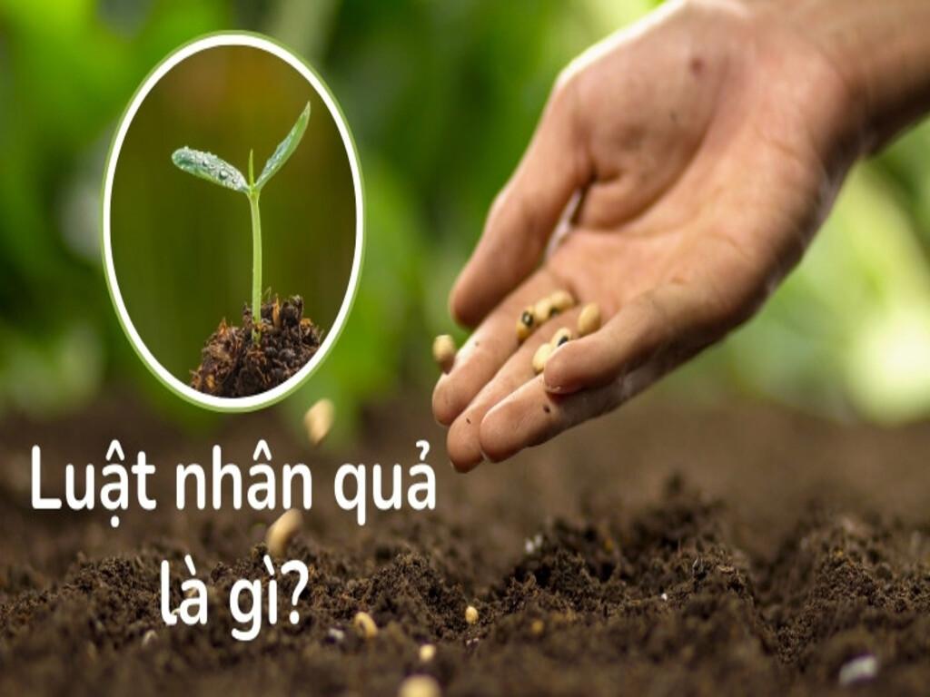 Luật nhân quả là gì? Khái niệm cơ bản dễ hiểu